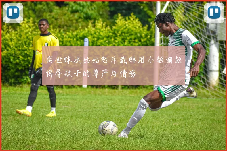 离世球迷姑姑怒斥戴琳用小额捐款侮辱孩子的尊严与情感