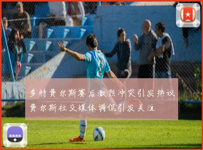 多特费尔斯赛后激烈冲突引发热议费尔斯社交媒体调侃引发关注