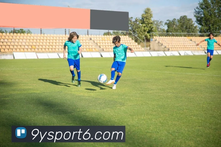 九游体育平台生态图