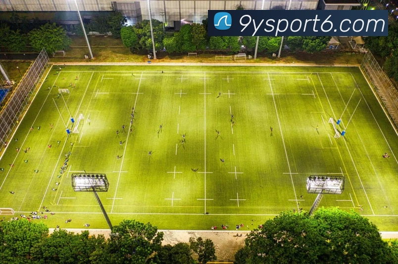 九游体育APP 封面图